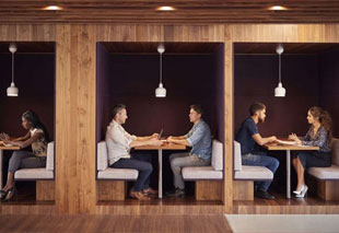 Acoustic partitions improving office productivity by reducing noise and enhancing workspace privacy